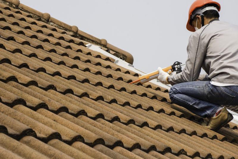 Professional Roof Installation